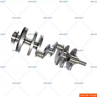 Vilebrequin AUGER [170296]