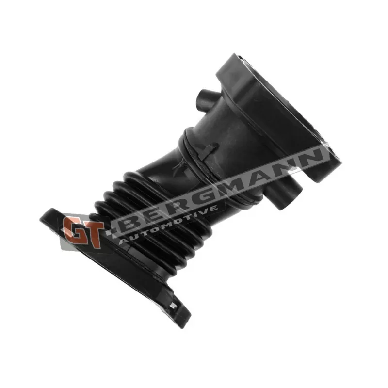 Gaine de suralimentation GT-BERGMANN GT52-429 - Visuel 1