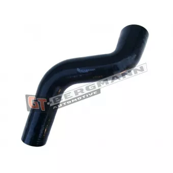 Gaine de suralimentation GT-BERGMANN OEM 8200760281