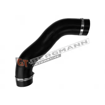 Gaine de suralimentation GT-BERGMANN OEM AG916C646AC