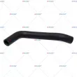 Durite de radiateur AUGER [56205]