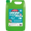 PARYS 086888 - Lave Glace été 5L