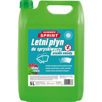 Lave Glace été 5L PARYS 086888