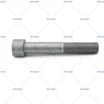 Vis AUGER OEM 06021912822