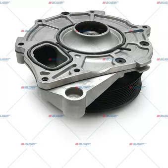 Pompe à eau AUGER 81811