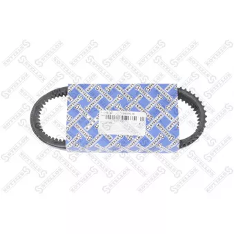 STELLOX 01-01075-SX - Courroie trapézoïdale