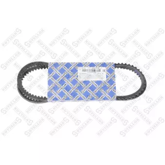 STELLOX 01-01275-SX - Courroie trapézoïdale