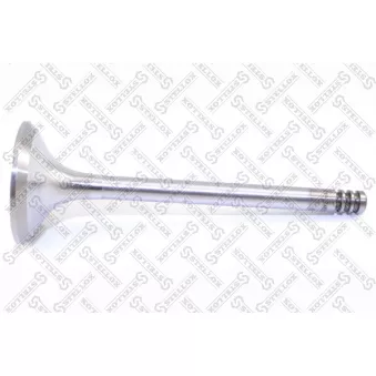 STELLOX 01-24005-SX - Soupape d'émission