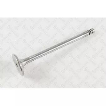 STELLOX 01-24369-SX - Soupape d'admission