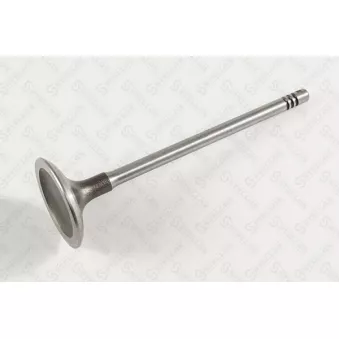 Soupape d'admission STELLOX [01-24373-SX]