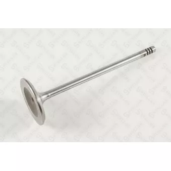 Soupape d'admission STELLOX [01-24379-SX]