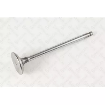 STELLOX 01-24385-SX - Soupape d'admission