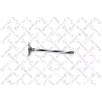 STELLOX 01-24426-SX - Soupape d'admission