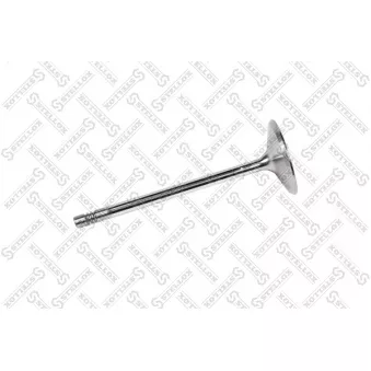 Soupape d'admission STELLOX [01-24436-SX]