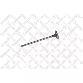 Soupape d'admission STELLOX [01-24438-SX]