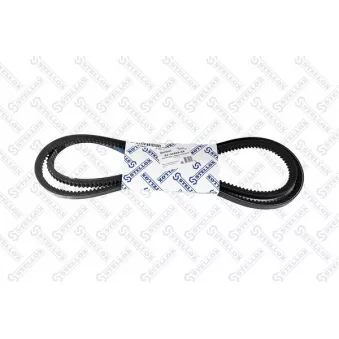 STELLOX 01-31825-SX - Courroie trapézoïdale