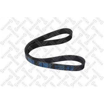 STELLOX 06-00810-SX - Courroie trapézoïdale à nervures