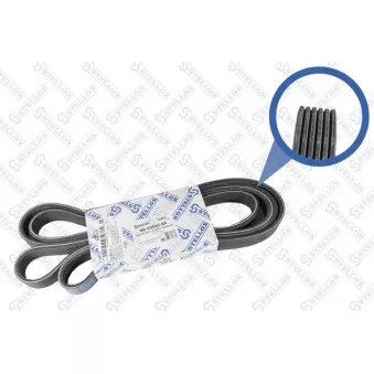 STELLOX 06-02565-SX - Courroie trapézoïdale à nervures