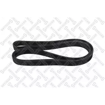 STELLOX 08-02100-SX - Courroie trapézoïdale à nervures