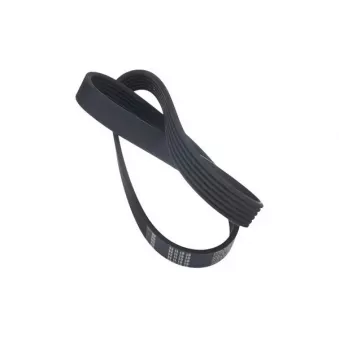 STELLOX 09-41499-SX - Courroie trapézoïdale à nervures