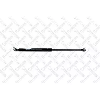 STELLOX 11-10266-SX - Vérin, capot-moteur