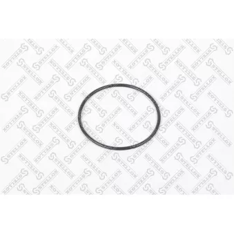 STELLOX 11-25425-SX - Joint, pompe à vide