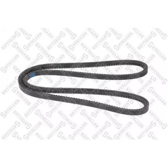 Courroie trapézoïdale STELLOX [13-01338-SX]