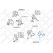 STELLOX 25-17029-SX - Support moteur avant gauche
