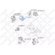 STELLOX 25-17489-SX - Support moteur