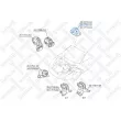 Support moteur STELLOX [25-17509-SX]