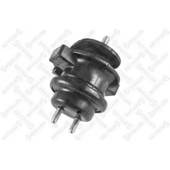 Support moteur STELLOX [25-17715-SX]