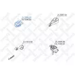 Support moteur avant droit STELLOX [25-73005-SX]