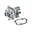 Pompe à eau, refroidissement du moteur STELLOX [4500-0489-SX]