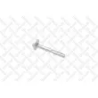 Vis de correction du carrossage STELLOX [79-01112-SX]