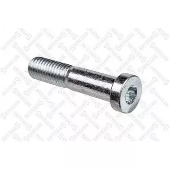 Vis de serrage, suspension articulée/rotule de suspension STELLOX [79-09004-SX]