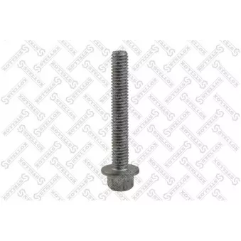 STELLOX 79-21001-SX - Vis