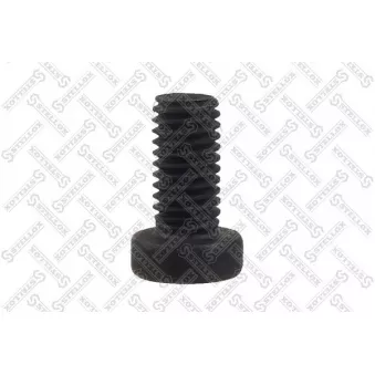 STELLOX 79-21006-SX - Vis