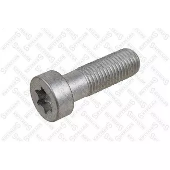 STELLOX 79-21078-SX - Vis, étrier de frein
