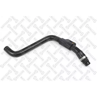 STELLOX 81-11413-SX - Durite de radiateur