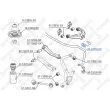 STELLOX 89-72018-SX - Suspension, stabilisateur