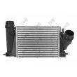 ABAKUS 042-018-0017 - Intercooler, échangeur