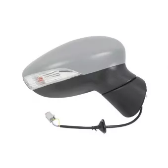 Rétroviseur extérieur ABAKUS OEM 1753801