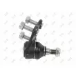 ABAKUS 233-03-516 - Rotule de suspension avant droit
