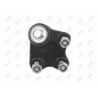 ABAKUS 233-03-516 - Rotule de suspension avant droit