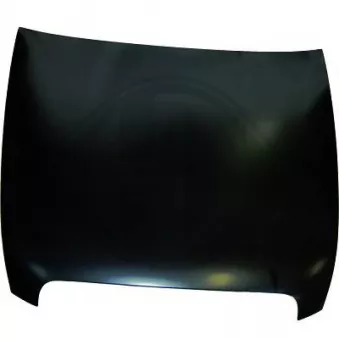 DIEDERICHS 1026000 - Capot-moteur