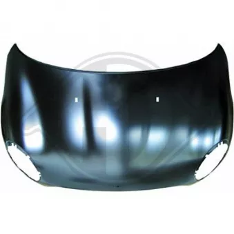 DIEDERICHS 1206000 - Capot-moteur