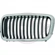 Grille de radiateur DIEDERICHS [1242141]