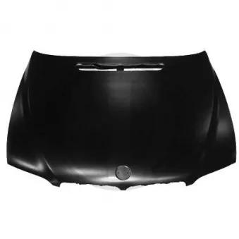 DIEDERICHS 1243000 - Capot-moteur