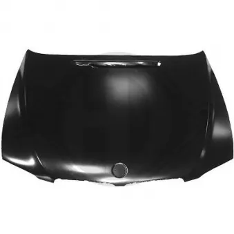 DIEDERICHS 1243100 - Capot-moteur