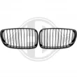 Grille de radiateur DIEDERICHS [1280441]